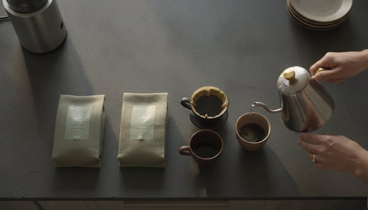 Single Origin Sample Packs: Audit Your Palate and Level Up Your Grind