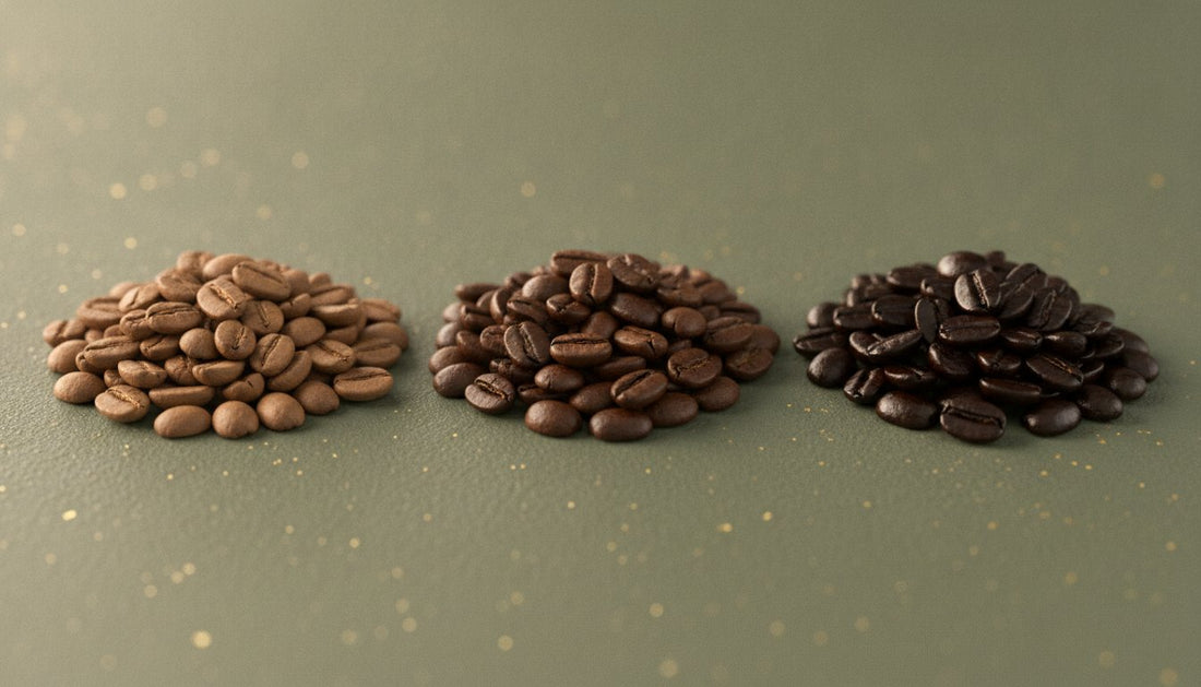 Light Roast vs Medium Roast vs Dark Roast: The Ultimate Fuel Guide (2026)