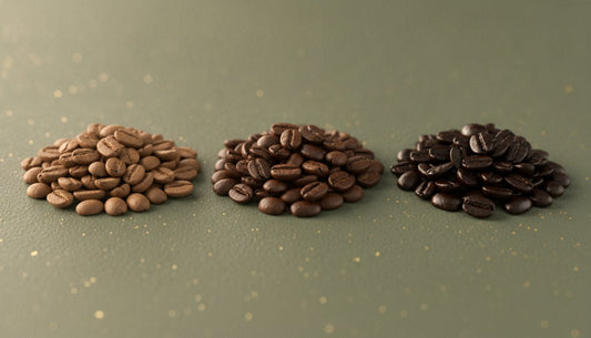 Light Roast vs Medium Roast vs Dark Roast: The Ultimate Fuel Guide (2026)
